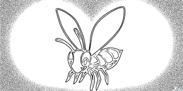bee Ibe Ndị Nwere Agba Agba